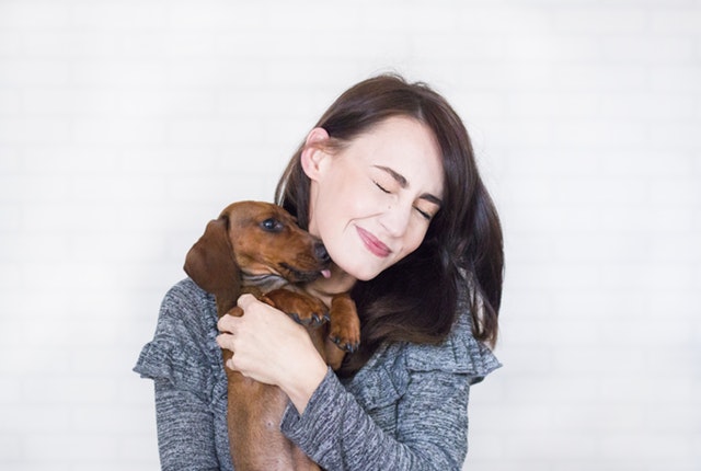 Prendre soin des chiens hypoallergènes