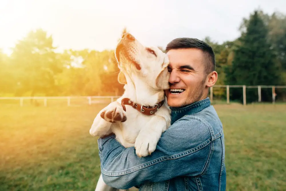 Comment Trouver Le Gardien De Chien Parfait